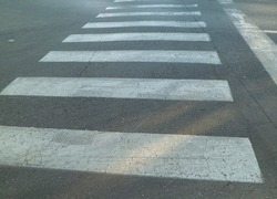 Normal_zebra
